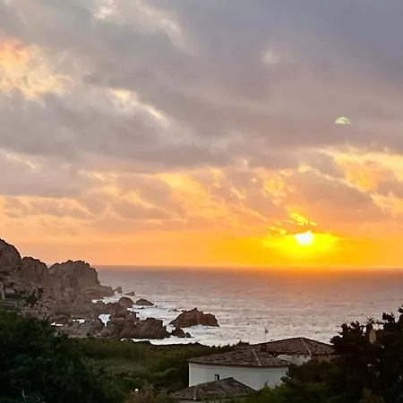 L'oleandro 1407 House In Sardinia With Mediterranean Sea Views